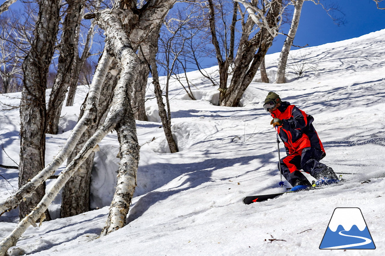 ニセコグラン・ヒラフ DYNASTAR SKI TEST RIDE DAYS Photo Session!!最高の天気に恵まれたニセコに、最高の仲間たちが集まりました☆